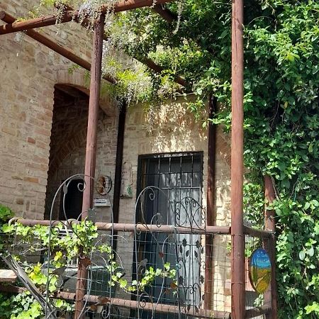 La Casina Di Ancicucco 2 Apartment San Gimignano Exterior photo